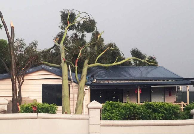 DESTRUCTIVE FORCE: This house on Brisbane Terrace in Goodna was one of several to sustain damage from falling trees on Sunday afternoon.