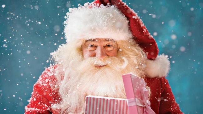 This is a true and local heartwarming Christmas story. Picture: HASLOO