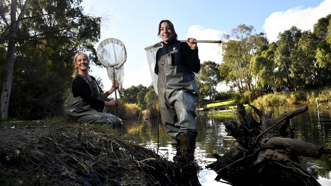 University of Adelaide’s Dr Jasmin Packer with PhD Candidate Eilish Thomas at the Torrens River. Their research on rakali (the Australian native water rat) overlaps with Green Adelaide's plans to return platypus to the river. Picture: Tricia Watkinson