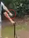 Another screenshot capturing what the parents of a 14-year-old Palmerston College student say is a knife being wielded by a students chasing their son near Palmerston Bus Terminal on the afternoon of March 25, 2024. Picture: Supplied