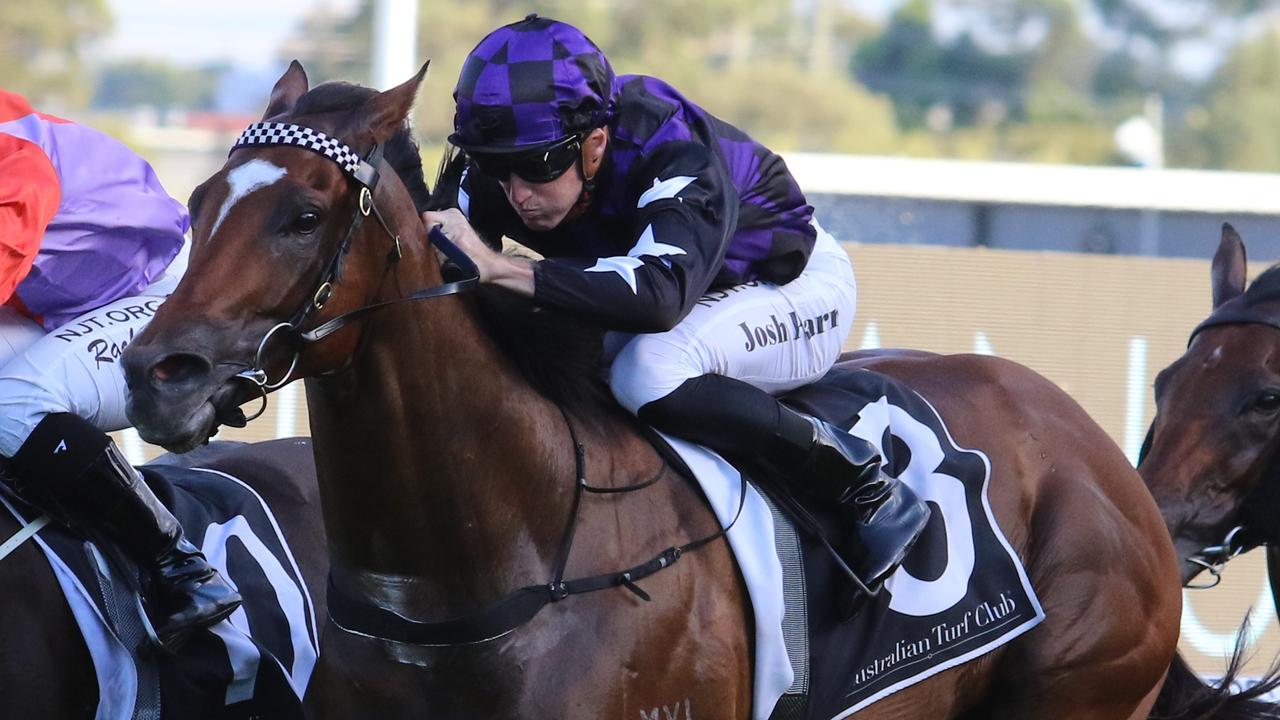 Jockey Josh Parr (pictured) takes the ride on Vyner on Wednesday. Picture: Grant Guy