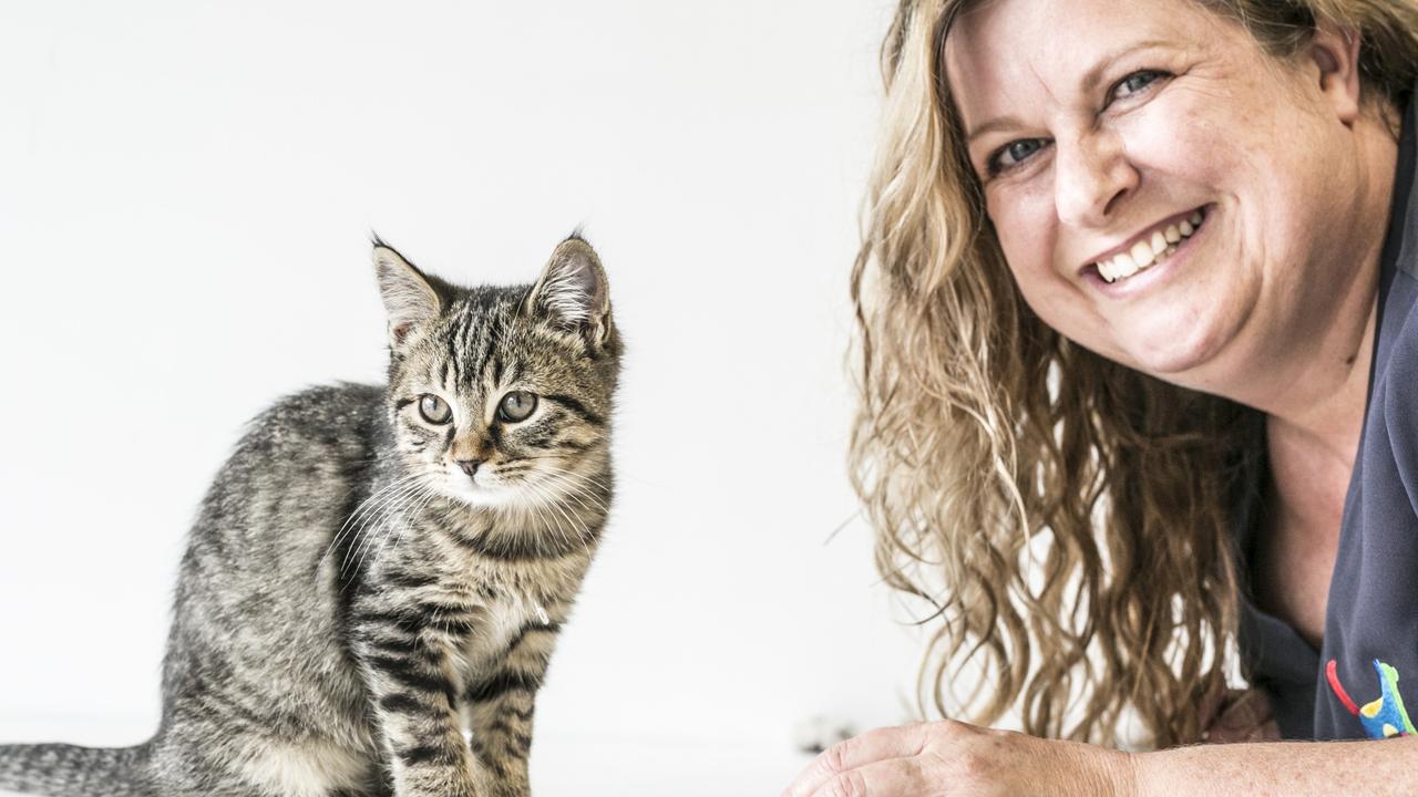 Ten Lives Cat Centre needs volunteers | The Mercury