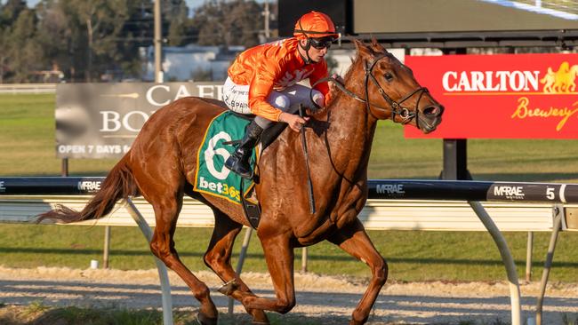 Princess Nefertiti ridden by Zac Spain wins the Carlton Draught BM58 Handicap at bet365 Park Wodonga on September 11, 2023 in Wodonga, Australia. (Photo by Jay Town/Racing Photos via Getty Images)