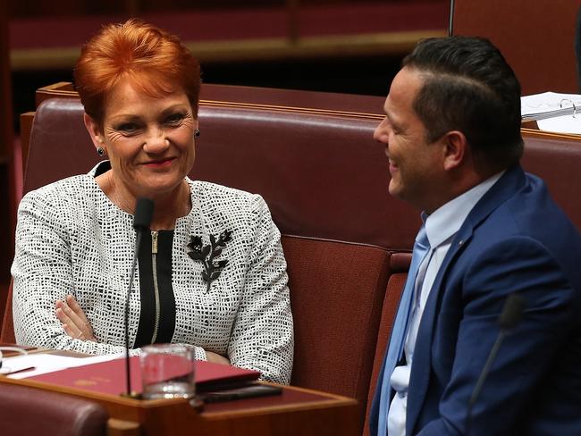 Senator Pauline Hanson told The Daily Telegraph she is likely to support the Turnbull government’s income tax cuts. Picture: Kym Smith