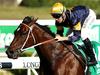 Masked Crusader can give owners coveted Everest trophy