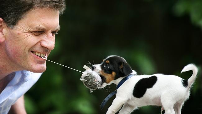 Former Victorian Premier Ted Baillieu his Jack Russell called Jack Russell.