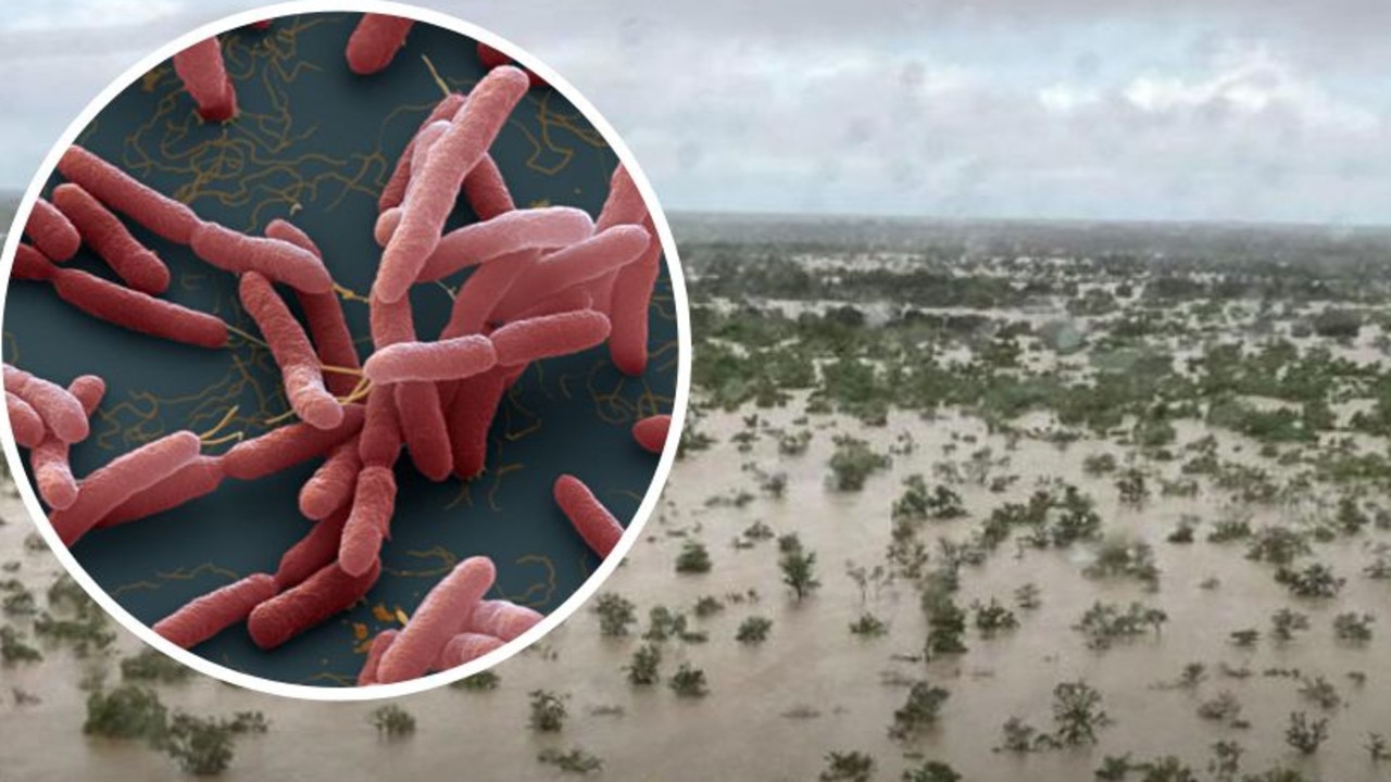 Melioidosis bacteria against marshland backdrop.