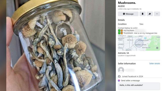 Dealers are using social media platforms like Facebook and Instagram to sell illicit drugs to vulnerable South Australians. Picture: Supplied