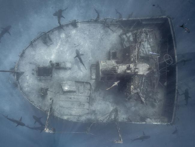 Shark City by Marc Henauer. “The Bahamas is home to one of the largest shark communities in the world,” the photographer said. “South of Nassau, the environment to observe them is extraordinary with large wrecks laid on a background of white sand in translucent water.” Picture: Marc Henauer/National Geographic Travel Photographer of the Year Contest