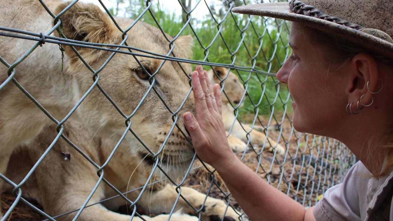 Big cat expert Jennifer Brown had worked with the animals a number of times in the past. Picture: Facebook