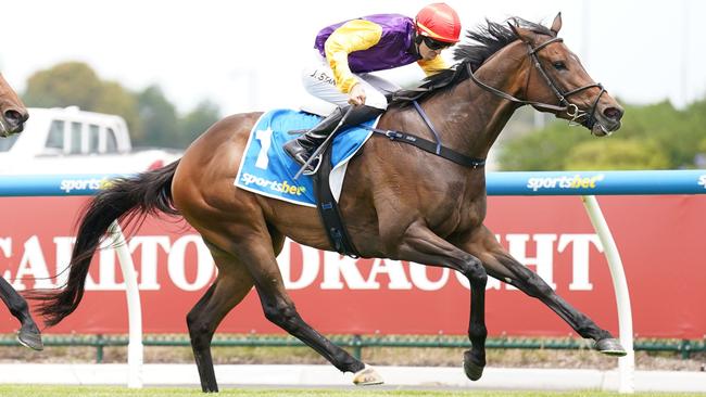 Sassy Boom will shoot for back-to-back wins when she competes at Geelong on Saturday. Picture: Racing Photos