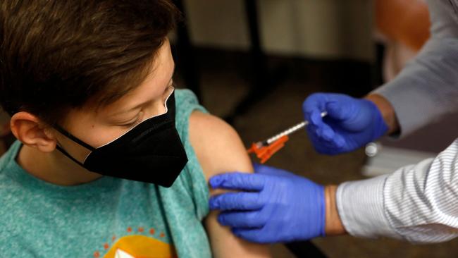 A young bog recieves a Pfizer Vaccine in America.