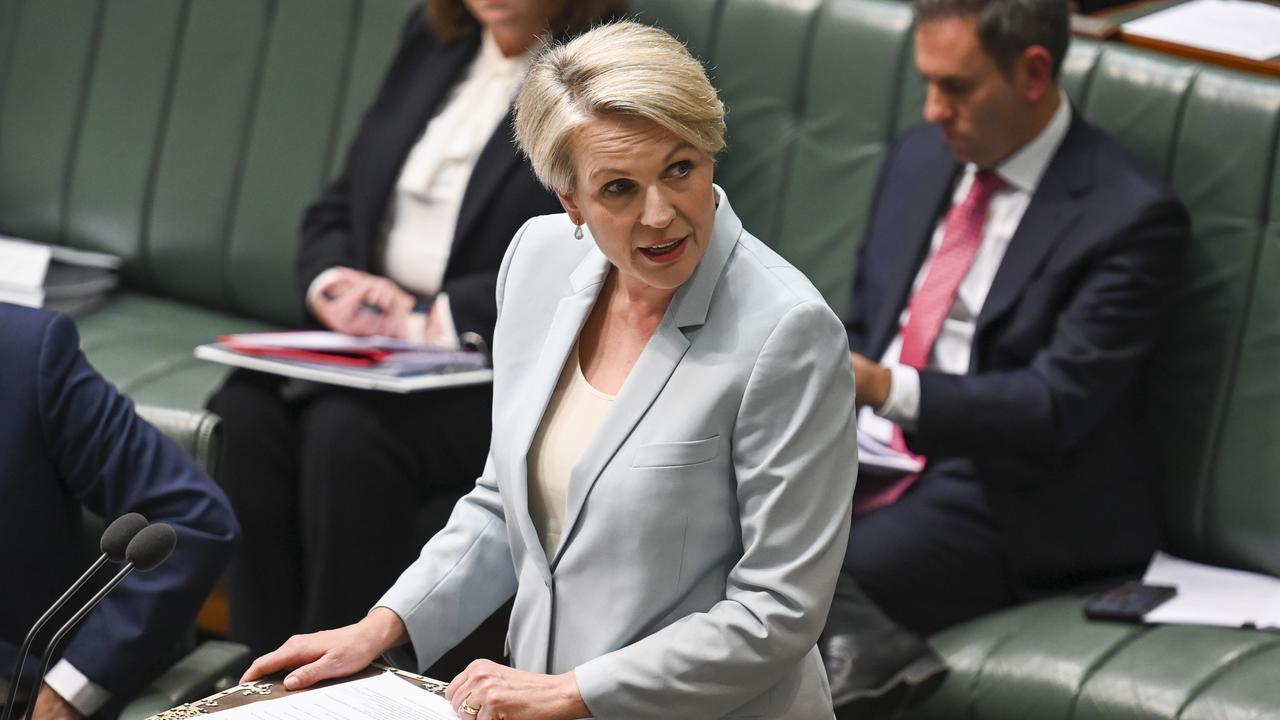 Tanya Plibersek said she was not told what to ask during question time. Picture: NCA NewsWire / Martin Ollman