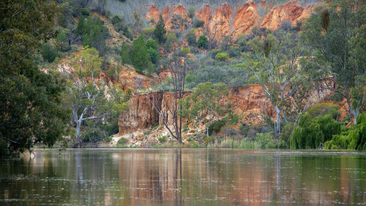 The River Murray at Paringa in the Riverland. Picture: Emma Brasier