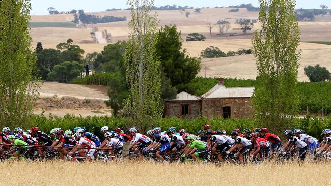 The Peloton leaving Lyndoch. Picture: Sarah Reed.