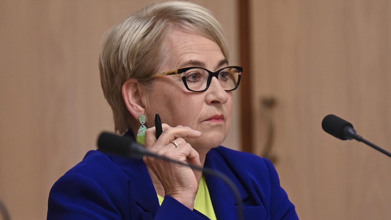 Senator Barbara Pocock asked the former PwC boss if the firm’s accountability and governance failings had deteriorated over his tenure. Picture: NCA NewsWire / Martin Ollman