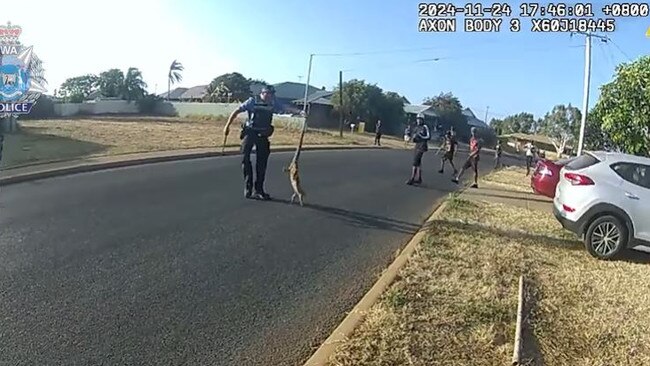 One officer managed to grab a hold of the lizard by its tail. Picture: Facebook/Western Australia Police Force