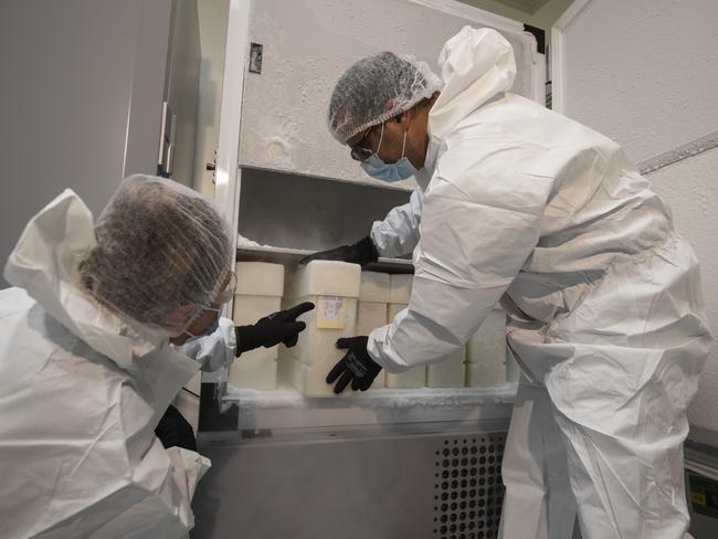 GPs will mostly be administering the AstraZeneca vaccine seen here in production at CSL Broadmeadows.