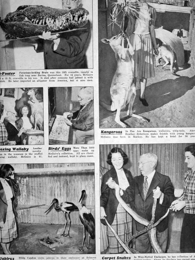 Barney McGuire junior opened a zoo at the back of the Belmore Arms Hotel on Wood St in Mackay which was later renamed to McGuires Hotel. Picture: Pix Magazine, September 1941