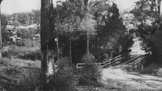 How the ironbark looked a century ago when it was still large and had an obvious Aboriginal shield scar at the base. 