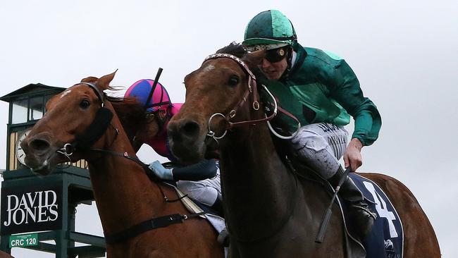 Humidor (right) has been allotted top weight in the Caulfield and Melbourne Cups. Picture: AAP