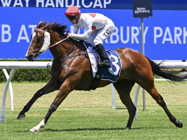 Rapt can book her place in the Provincial-Midway Championship Final with a win in the hawkesbury Qualifier. Picture: Bradley Photos