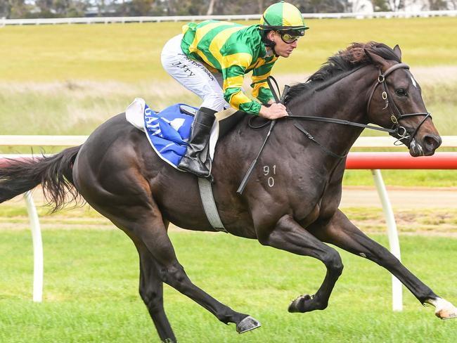 Loose On Gin (NZ) ridden by Jarrod Fry wins the Dipping Dynamics 3YO Maiden Plate at Hamilton Racecourse on October 14, 2023 in Hamilton, Australia. (Photo by Brett Holburt/Racing Photos)