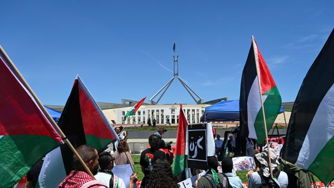 About 400 pro-Palestine supporters marched to the front lawn of Parliament House on Monday afternoon. Picture: NCA NewsWire / Martin Ollman