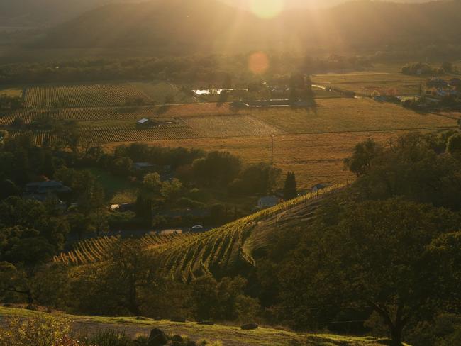 EMBARGO FOR TRAVEL + LUXURY MAGAZINE 26 AUGUST 2022. A fine crop. Napa Valley and Sonoma. Photography by Matt Dutile. Caption: The pool at the Poetry Inn, set near Yountville, with mesmerising pastoral views