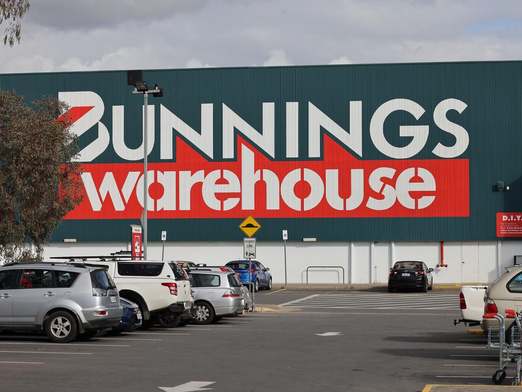 If dogs could speak they’d ask to go to Bunnings. Picture: NCA NewsWire / David Mariuz