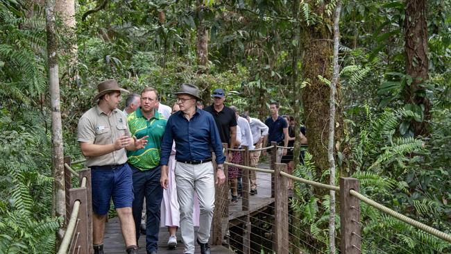 Prime Minster Anthony Albanese and Queensland Premier Steven Miles in he rainforest on Skyrail Cairns Skyrail Environmental Manager Luke Stahl Wednesday 10th January 2024. The Prime Minister announced a massive financial boost to the Queensland tourist industry in the wake of Cyclone Jasper. Image by Brian Cassey for Newswire