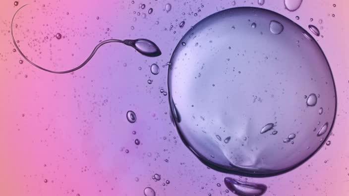 Fertility and trying to conceive isn’t as easy as some people think, here are some facts that might surprise you!