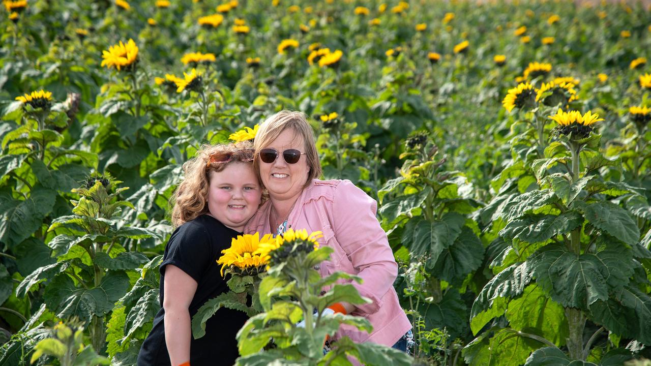 Avalee and her mother, Caroline Limmer.Open day at Warraba Sunflowers, Cambooya. Saturday June 29th, 2024