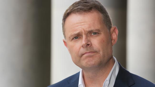 Treasurer Stephen Mullighan on the steps of Parliament House. Picture: Dean Martin