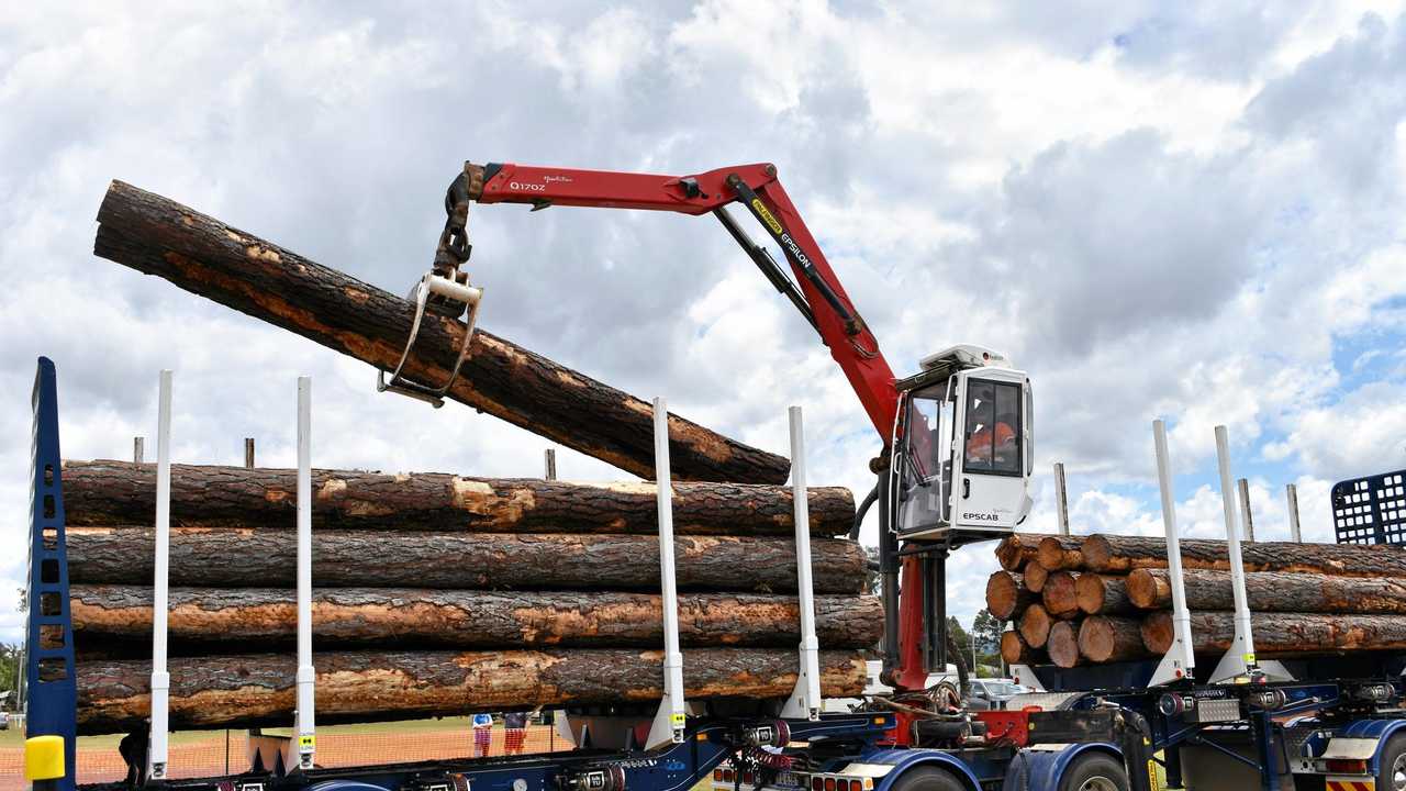 You can't have a woodchop without wood - and it wouldn't be much of a chainsaw race without something to saw. That's where these Gympie region logs came in. Picture: Arthur Gorrie