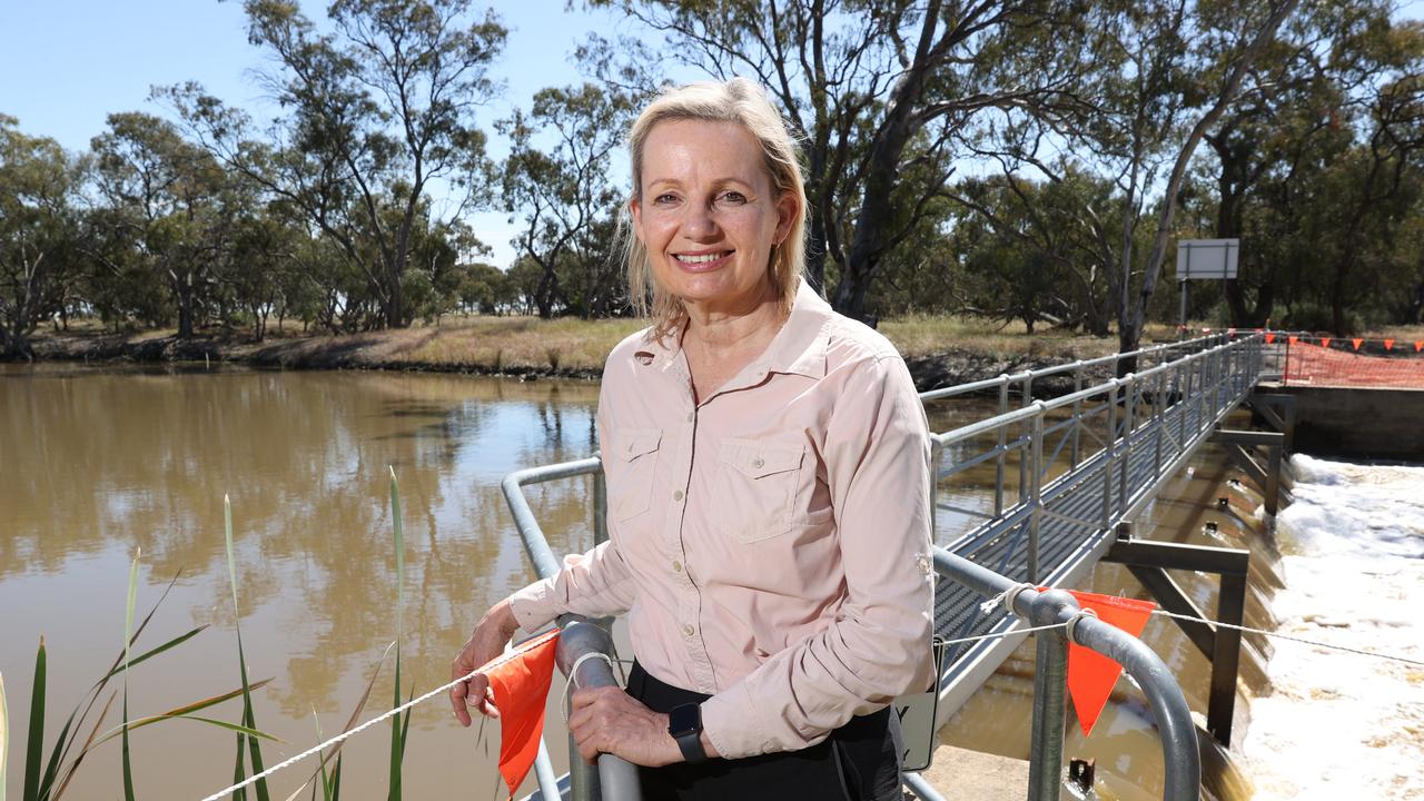 Environment Minister Sussan Ley will make a pre-budget announcement on cutting green tape on Tuesday. Picture: Richard Dobbins