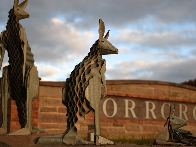 24/8/15 - Kangaroos in Orroroo. Photo Naomi Jellicoe