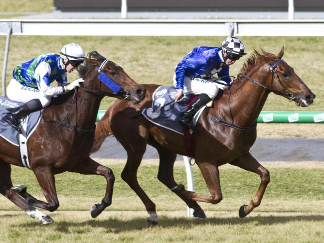 Garner (left) runs second behind Santorini Summer at Morphettville back in July. Picture: Atkins Photography