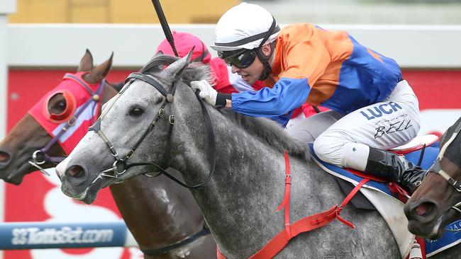 Tim Bell was a star apprentice who in 2013-14 won the Brisbane Jockeys’ premiership.