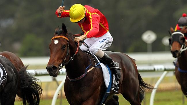 Ninth Legion ridden by jockey Peter Robl (yellow cap) wins at Warwick Farm. 