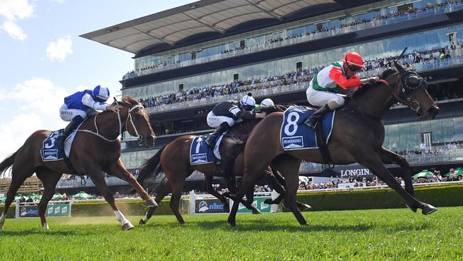 Handle The Truth will carry the top weight in Thursday’s Wagga Town Plate. Picture: AAP