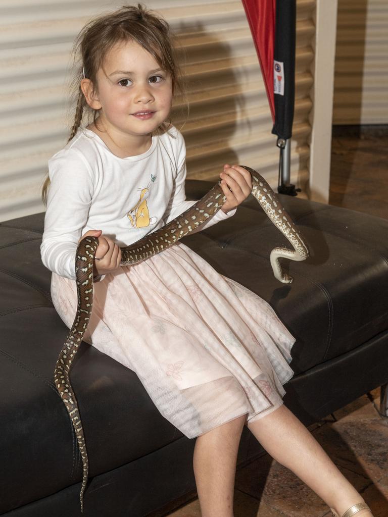 Elsie Tutaki 5yo with Nutella the Bredli python. Cobb+Co Museum Easter school holiday program Wildlife Rangers with Wildcall Wildlife Shows. Monday, April 4, 2022. Picture: Nev Madsen.