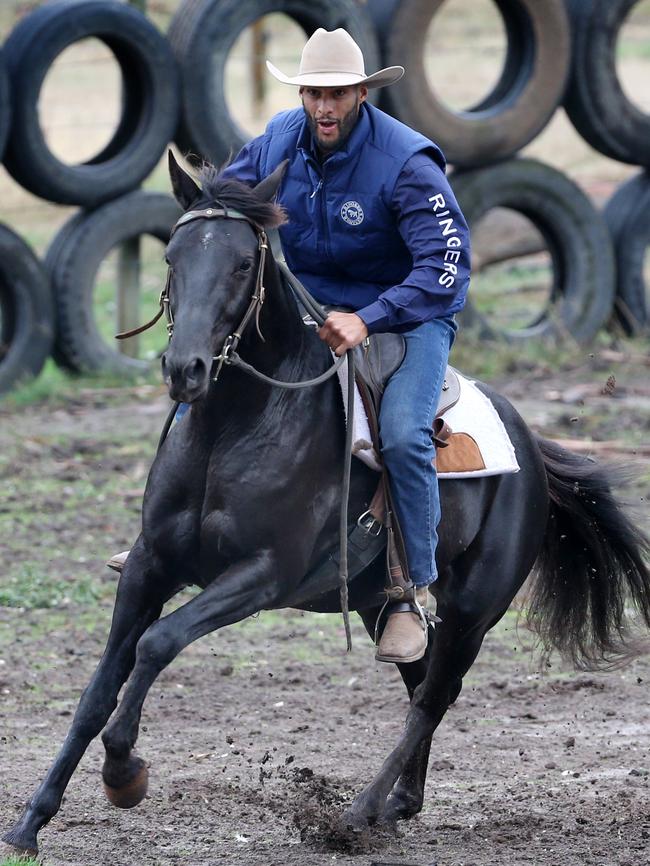 Gibson owns three horses, two of which he currently competes with in campdrafting competitions. Picture: Michael Klein