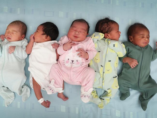 The west is celebrating a baby boom. Picture: David Caird