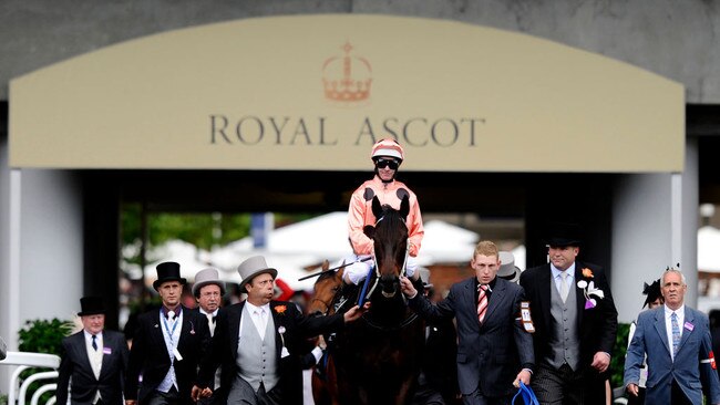 Black Caviar stepping out at Royal Ascot.