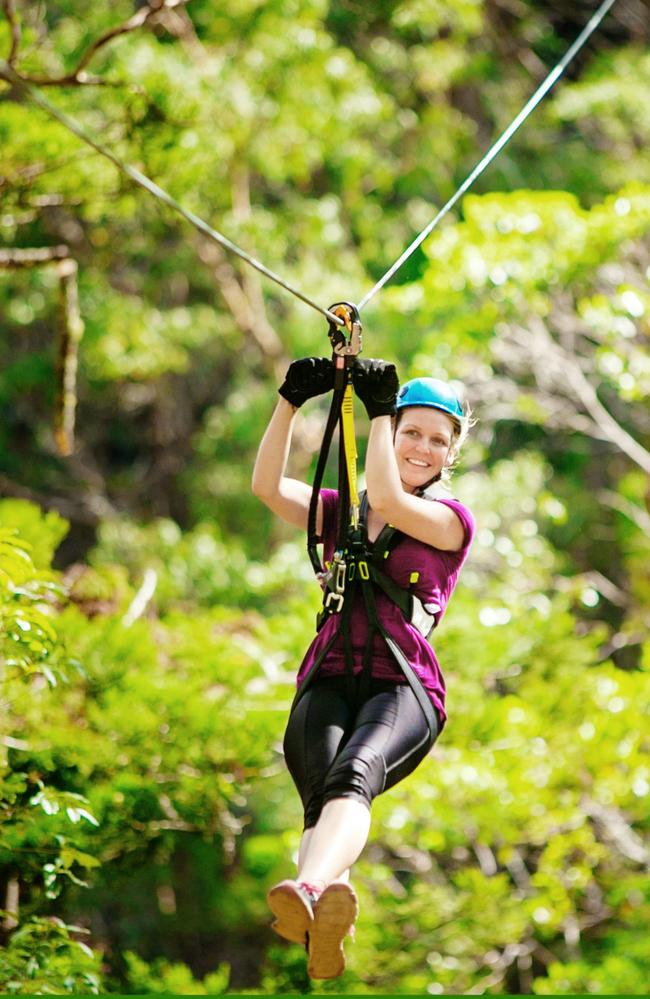 The Tree Top Challenge (Adventure Tourism) has claimed gold at the Queensland Tourism Awards. among the 28 gold award recipients.