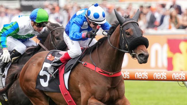 Wrote To Arataki will attempt to get back to winning form in Saturday's Group 3 Geoffrey Bellmaine Stakes at Sandown. Picture: Racing Photos via Getty Images.