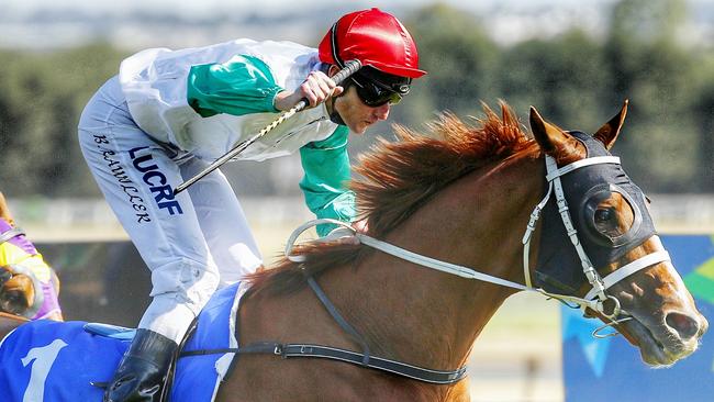Brad Rawiller has an excellent book of rides at Morphettville on Saturday. Picture: Colleen Petch