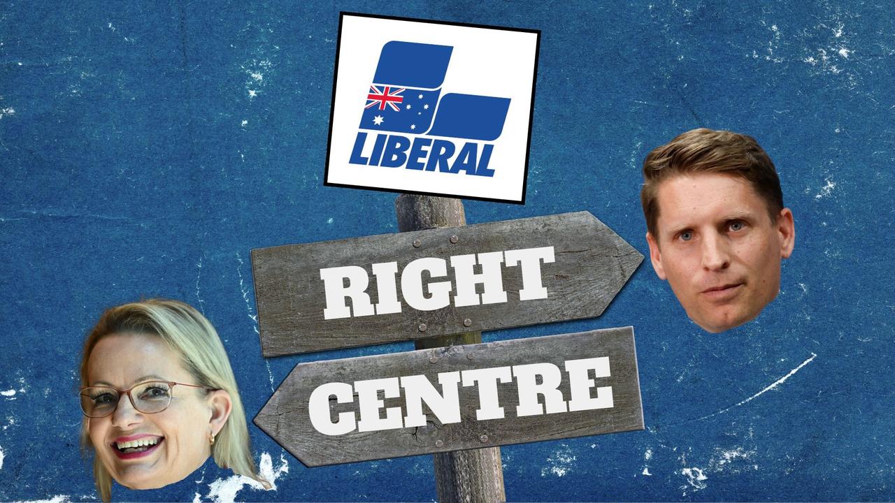 ‘Mustn’t sell our soul’: Reason behind shocked Liberals’ crisis
