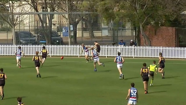 Callum Park highlights